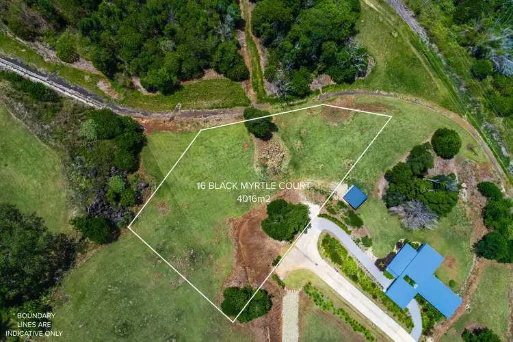Second view of Homely land listing, 16 Black Myrtle Court, Terranora NSW 2486