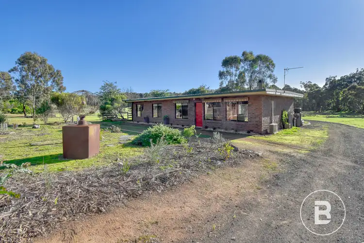 195 Mosquito Road