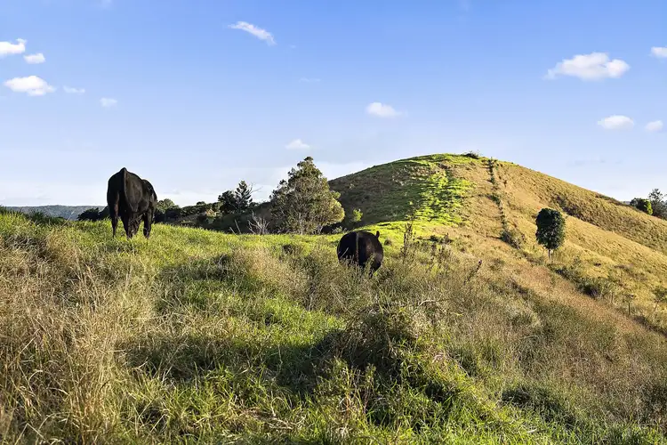 Fourth view of Homely rural property listing, 361 Hausmann Road, Mount Mee QLD 4521