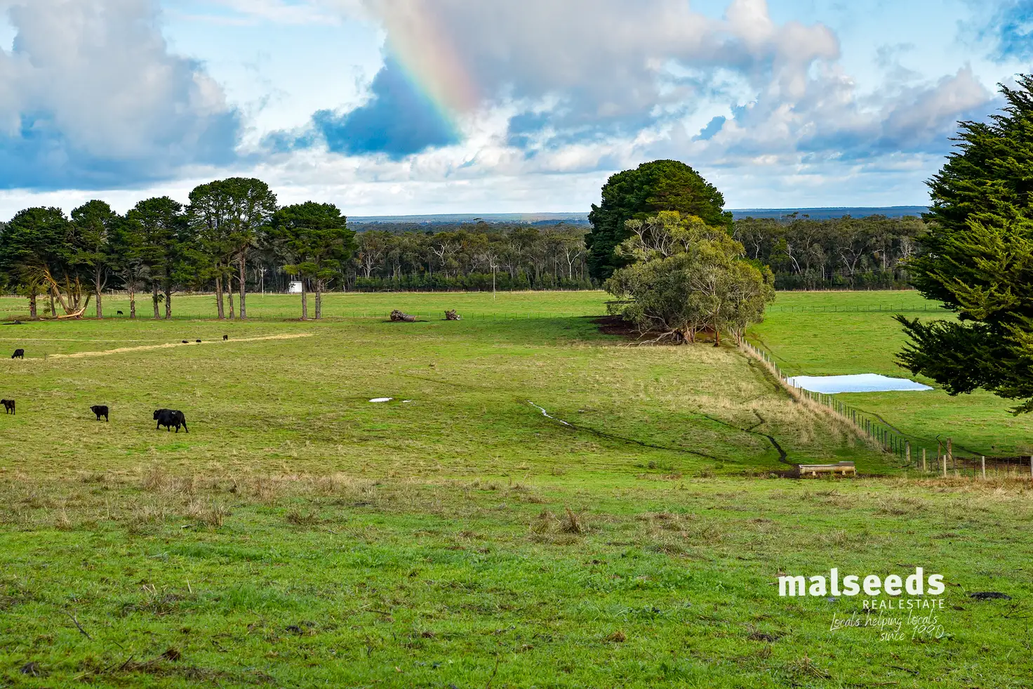 Main view of Homely rural property listing, 3306 Princes Highway, Drumborg VIC 3304