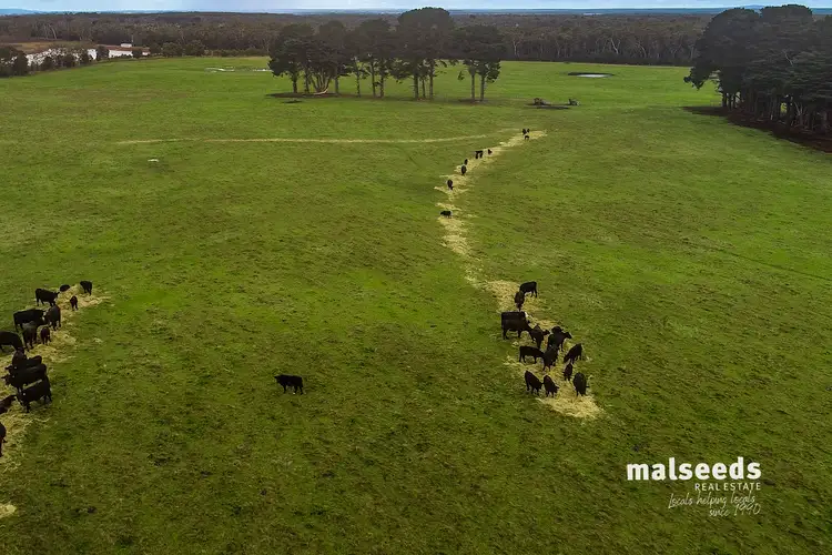 Third view of Homely rural property listing, 3306 Princes Highway, Drumborg VIC 3304