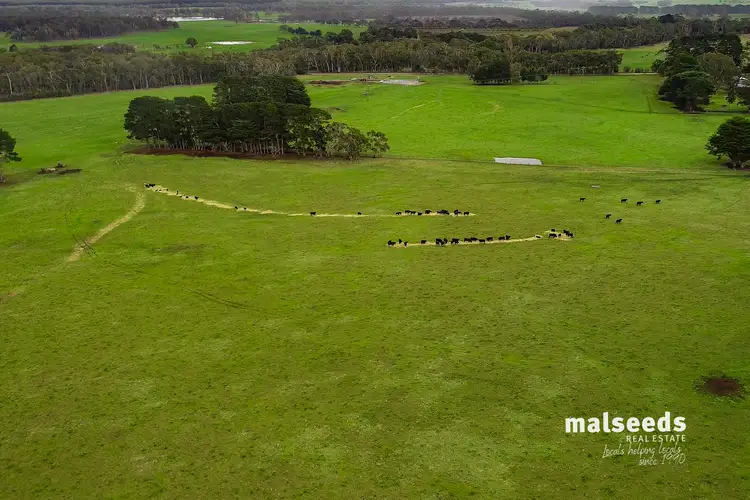 Fourth view of Homely rural property listing, 3306 Princes Highway, Drumborg VIC 3304