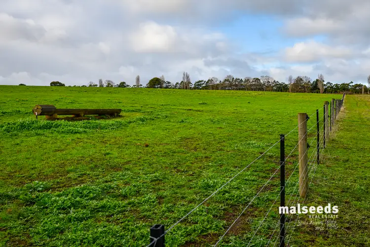 Fifth view of Homely rural property listing, 3306 Princes Highway, Drumborg VIC 3304