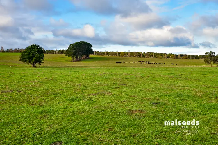 Seventh view of Homely rural property listing, 3306 Princes Highway, Drumborg VIC 3304
