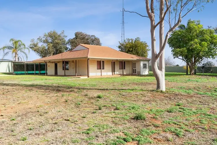 17204 Sturt Highway, Barmera SA 5345