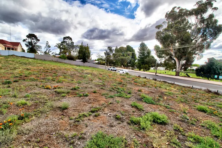 Second view of Homely land listing, LOT 1 & 2 Drabsch Street, Loxton SA 5333