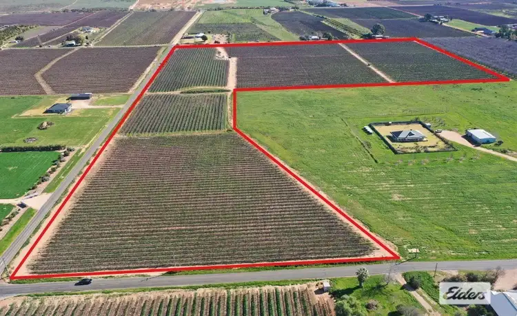 Main view of Homely land listing, LOT 100 and 10 Chowilla Street, Renmark SA 5341