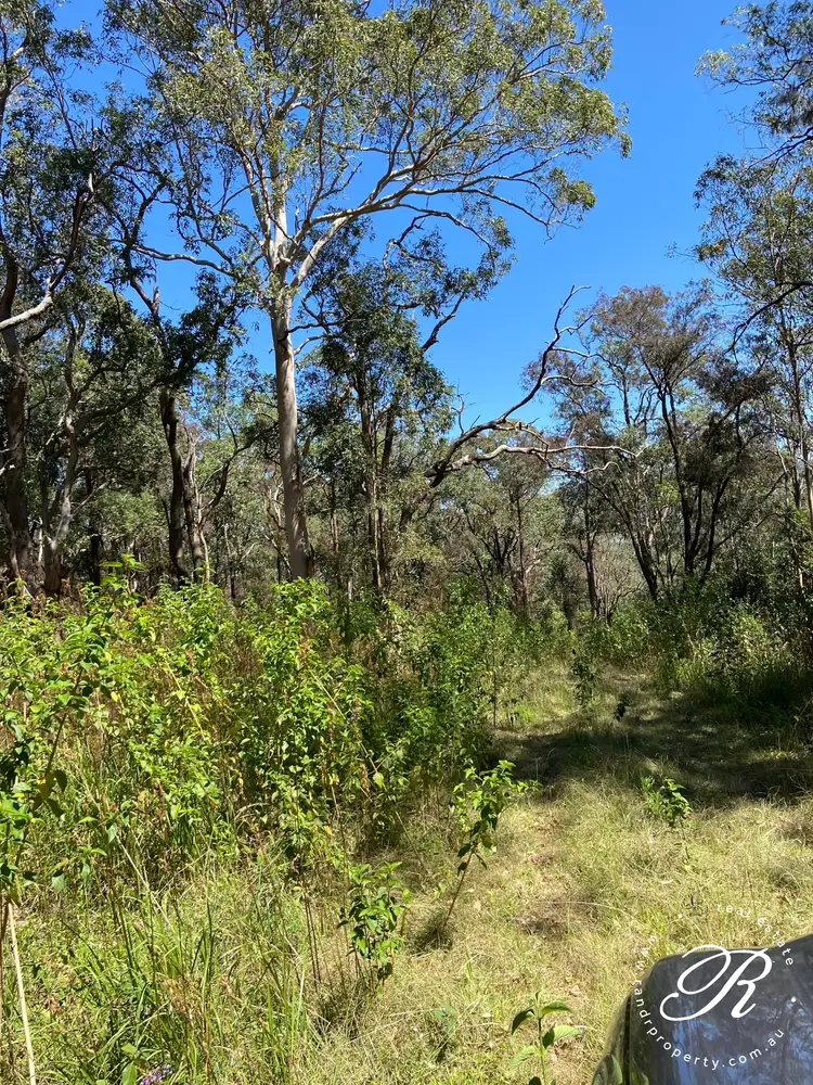 Seventh view of Homely rural property listing, 115 Suncrest Close, Bulahdelah NSW 2423