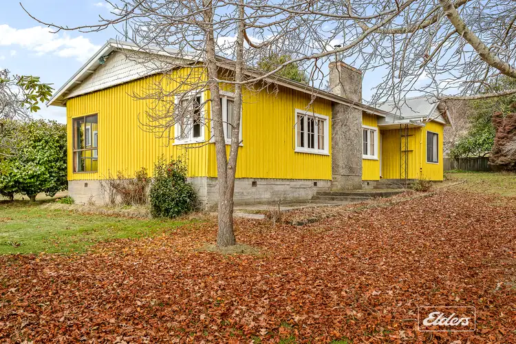Sixth view of Homely rural property listing, 28 Old Bangor Tram Road, Mount Direction TAS 7252
