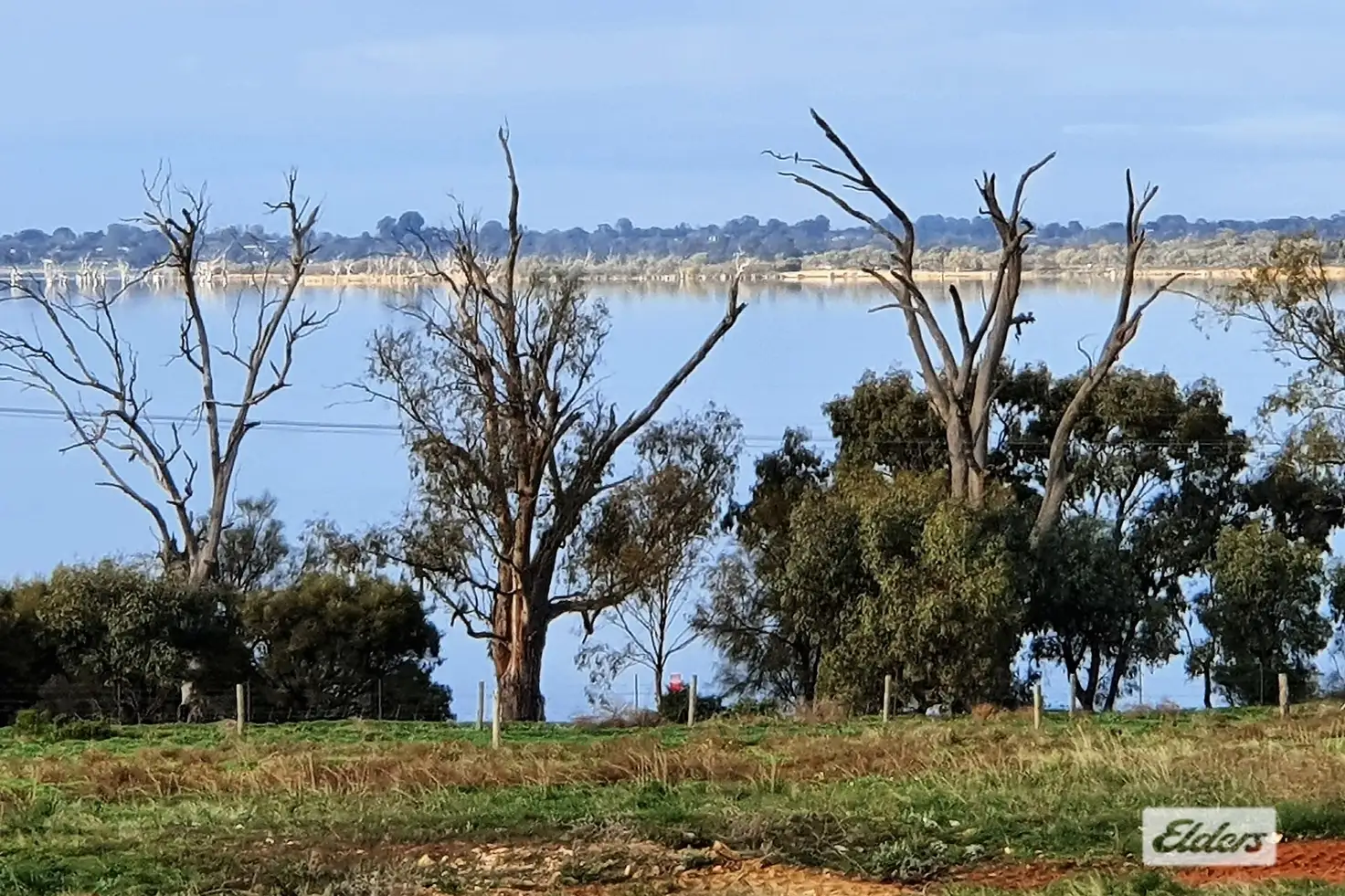 Main view of Homely rural property listing, 874 Queen Elizabeth Drive, Barmera SA 5345