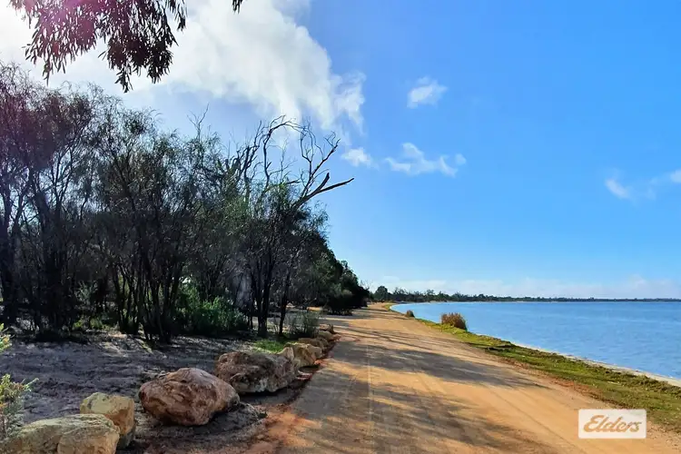 Third view of Homely rural property listing, 874 Queen Elizabeth Drive, Barmera SA 5345