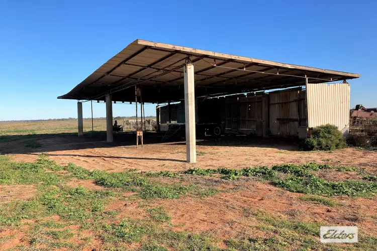 Fifth view of Homely rural property listing, 874 Queen Elizabeth Drive, Barmera SA 5345