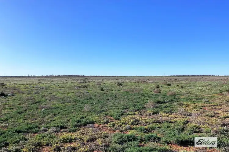 Sixth view of Homely rural property listing, 874 Queen Elizabeth Drive, Barmera SA 5345
