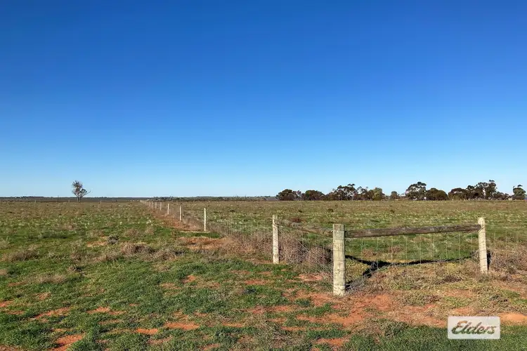 Seventh view of Homely rural property listing, 874 Queen Elizabeth Drive, Barmera SA 5345