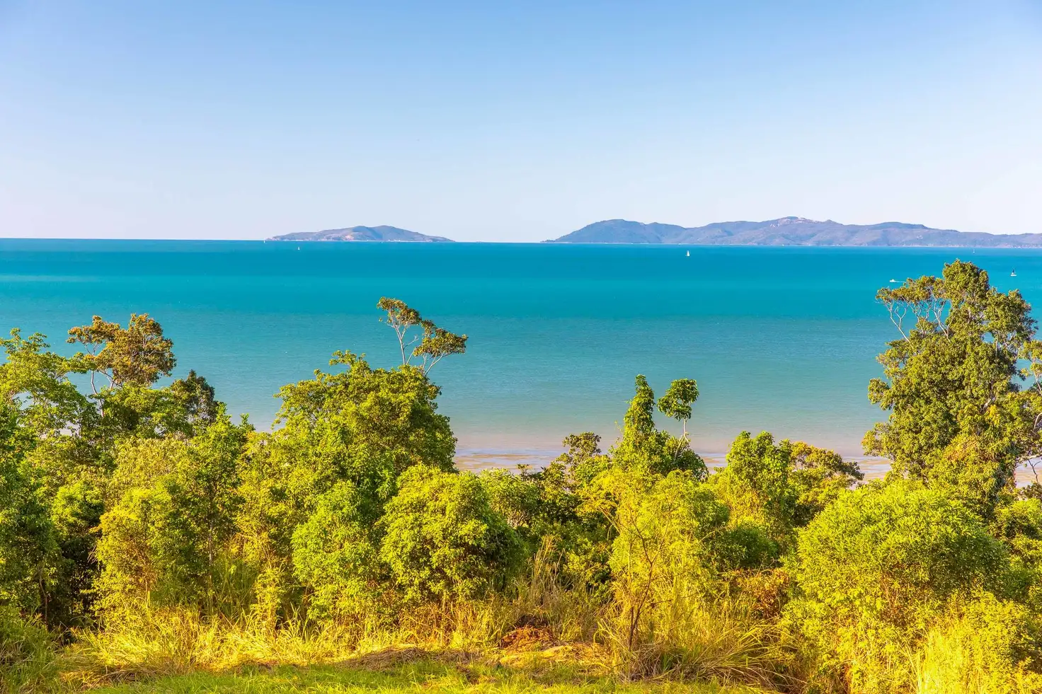 Main view of Homely land listing, LOT 40, 119 Botanica Drive, Woodwark QLD 4802