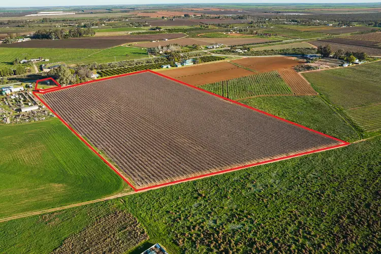 Main view of Homely rural property listing, Blk 303 Quena Street, Red Cliffs VIC 3496