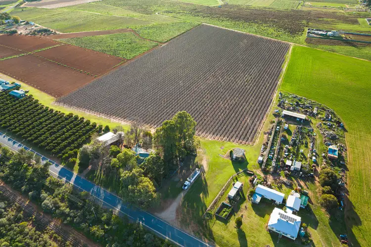 Second view of Homely rural property listing, Blk 303 Quena Street, Red Cliffs VIC 3496