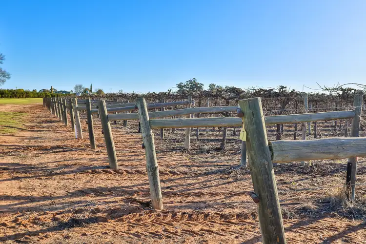 Third view of Homely rural property listing, Blk 303 Quena Street, Red Cliffs VIC 3496