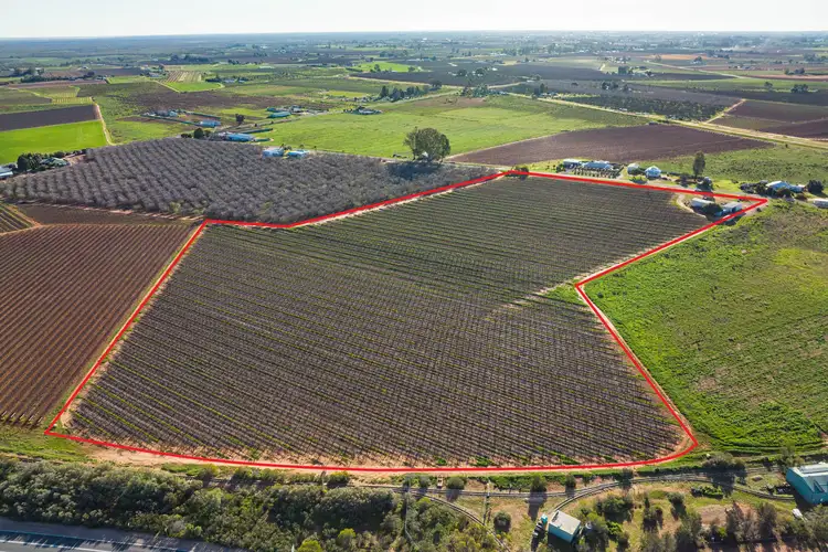 Blk 312 Leachs Road, Red Cliffs VIC 3496