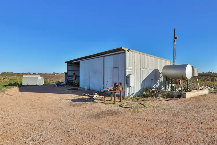 Fourth view of Homely rural property listing, Blk 312 Leachs Road, Red Cliffs VIC 3496