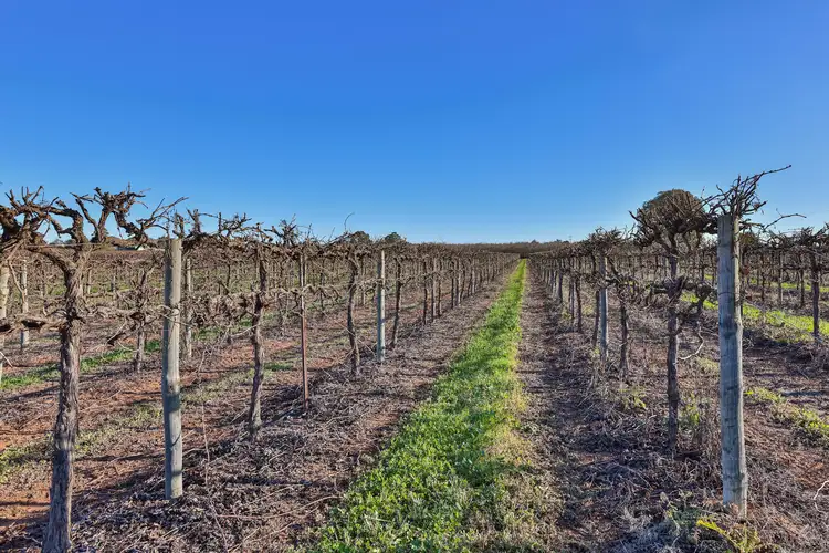Sixth view of Homely rural property listing, Blk 312 Leachs Road, Red Cliffs VIC 3496