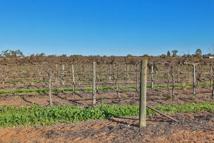 Seventh view of Homely rural property listing, Blk 312 Leachs Road, Red Cliffs VIC 3496