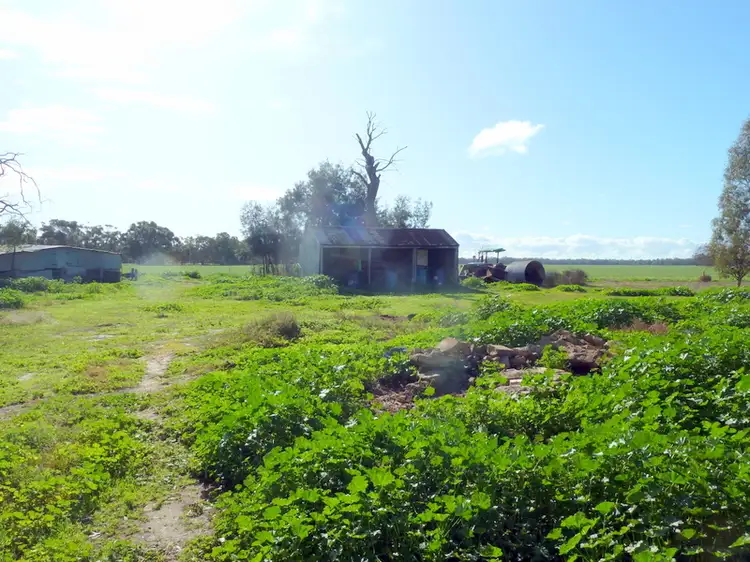 Fourth view of Homely rural property listing, CA13A Calder Highway, Charlton VIC 3525