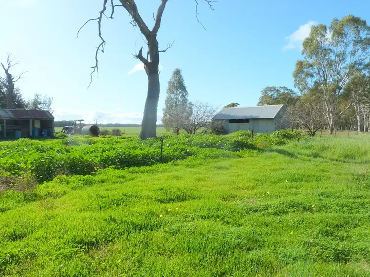 Sixth view of Homely rural property listing, CA13A Calder Highway, Charlton VIC 3525