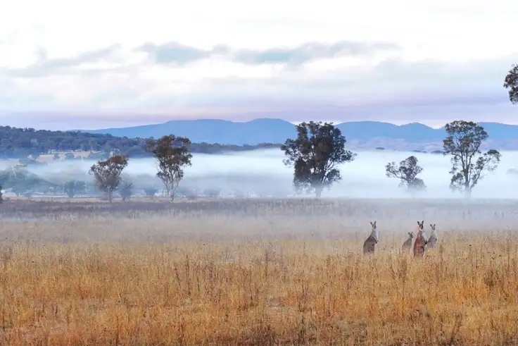 Second view of Homely rural property listing, 2470 Henry Lawson Drive, Mudgee NSW 2850