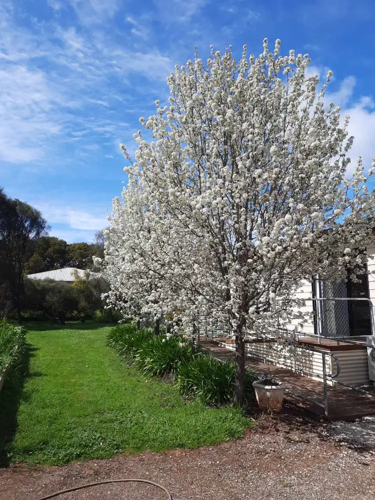 Fourth view of Homely house listing, 23 Staveley Street, Farrell Flat SA 5416