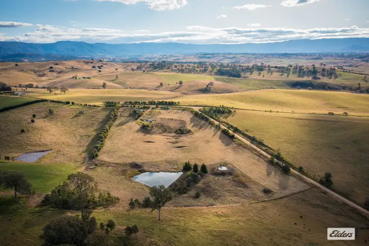 Fourth view of Homely rural property listing, Lot 3 Niagara Lane, Tantawangalo NSW 2550