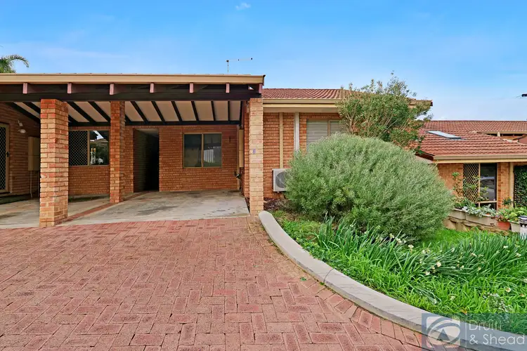 Main view of Homely villa listing, 3/17 Alga Street, Scarborough WA 6019