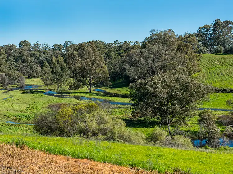 Fifth view of Homely rural property listing, 60 Cruse Road, Belhus WA 6069