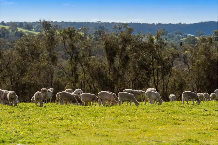 Second view of Homely rural property listing, 6053 Great Northern Highway, Bindoon WA 6502