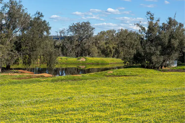 Third view of Homely rural property listing, 6053 Great Northern Highway, Bindoon WA 6502