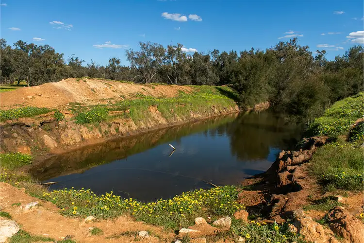 Fifth view of Homely rural property listing, 6053 Great Northern Highway, Bindoon WA 6502