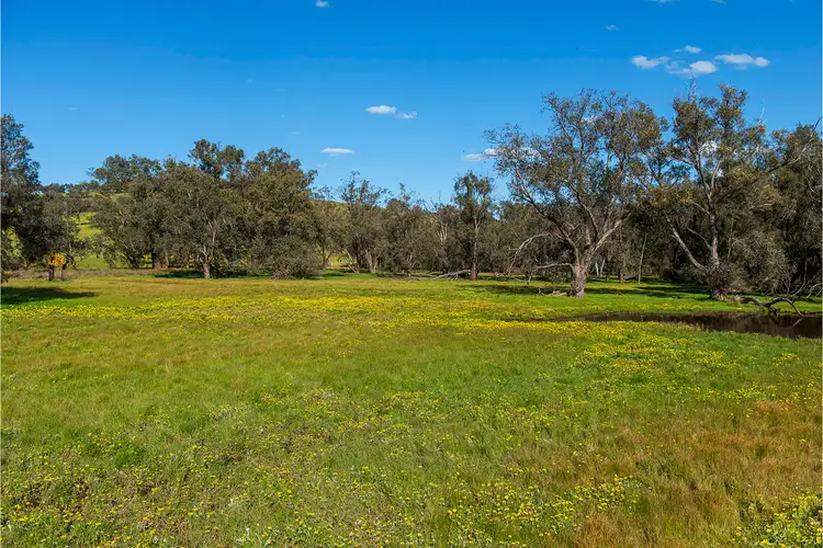 Seventh view of Homely rural property listing, 6053 Great Northern Highway, Bindoon WA 6502