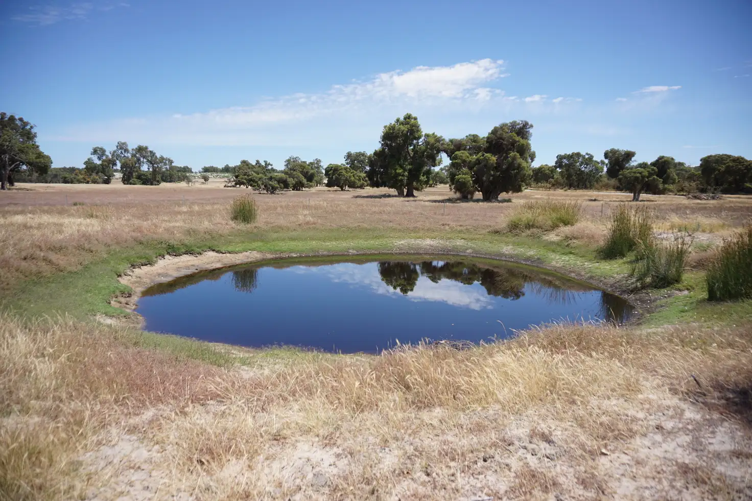Main view of Homely rural property listing, 907 Cullalla Road, Cullalla WA 6503