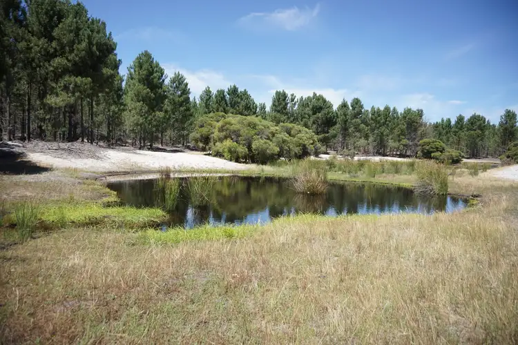 Sixth view of Homely rural property listing, 907 Cullalla Road, Cullalla WA 6503