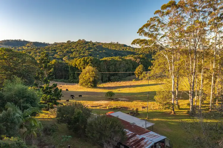 136 Repentance Creek Road, Goonengerry NSW 2482