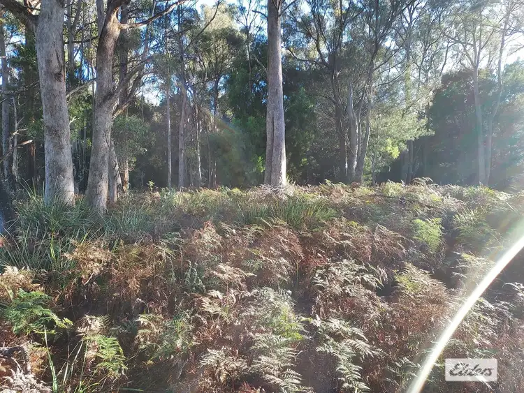 Sixth view of Homely rural property listing, Greens Beach Road, York Town TAS 7270