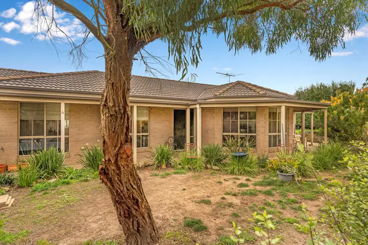 Main view of Homely unit listing, 4/397 Old Melbourne Road, Ballan VIC 3342