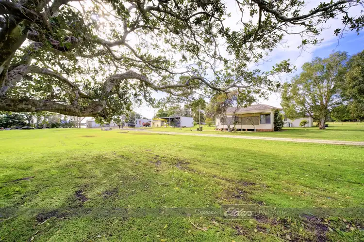 Fourth view of Homely rural property listing, 1473 Manning Point Road, Mitchells Island NSW 2430