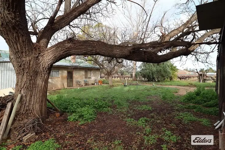 Second view of Homely rural property listing, 18561 Sturt Highway, Monash SA 5342