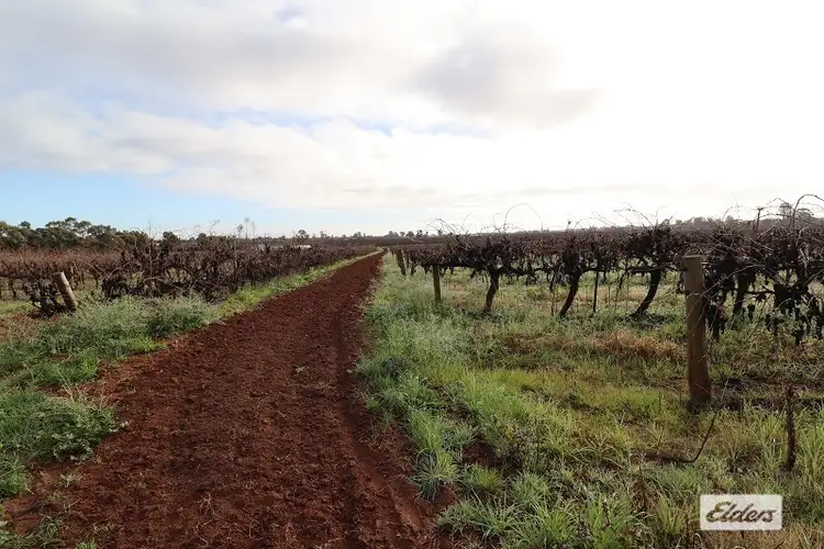 Third view of Homely rural property listing, 18561 Sturt Highway, Monash SA 5342