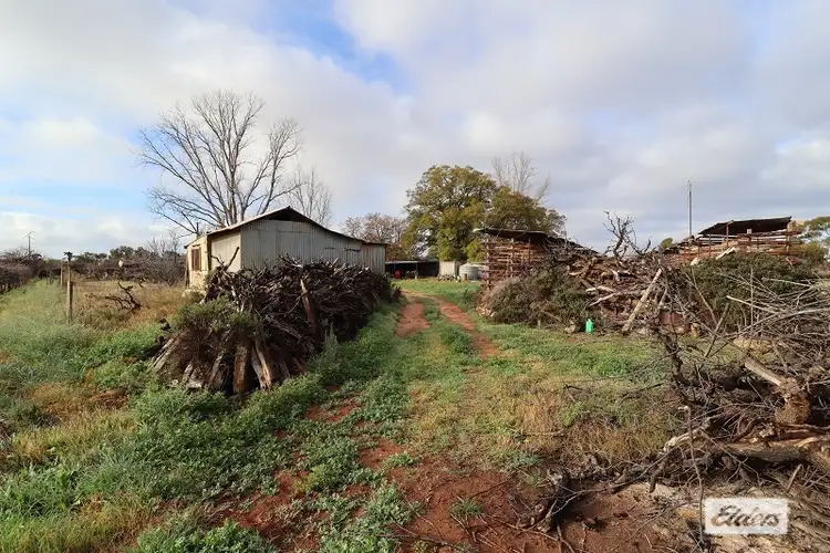 Fourth view of Homely rural property listing, 18561 Sturt Highway, Monash SA 5342