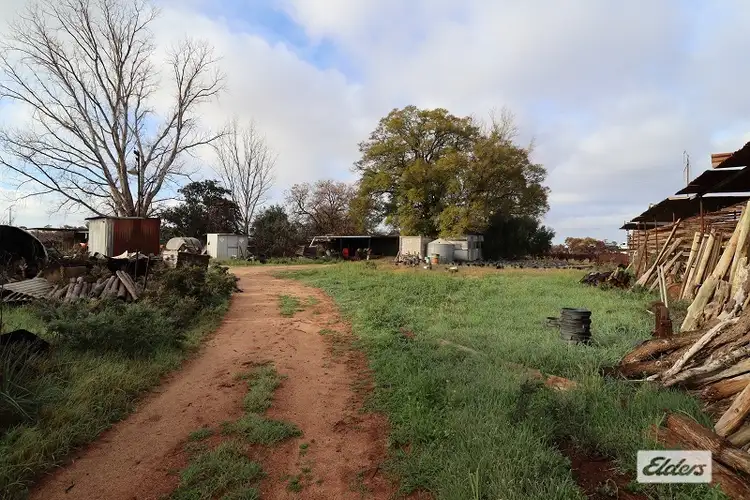 Fifth view of Homely rural property listing, 18561 Sturt Highway, Monash SA 5342