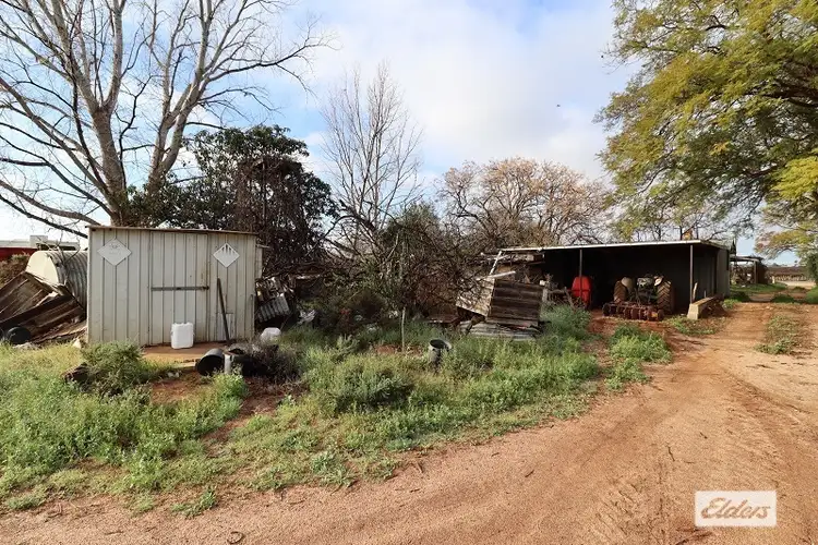 Sixth view of Homely rural property listing, 18561 Sturt Highway, Monash SA 5342