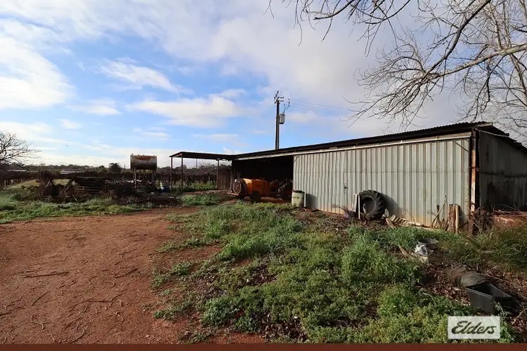 Seventh view of Homely rural property listing, 18561 Sturt Highway, Monash SA 5342