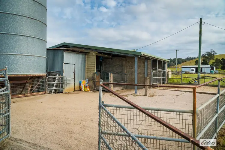 Sixth view of Homely rural property listing, 434 Peak Hill Road, Buckajo NSW 2550